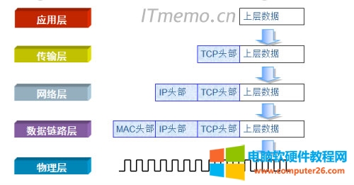 IP模型