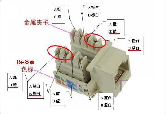 网线插座接线教程