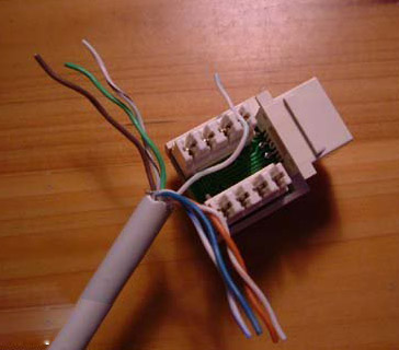 网线插座接线教程